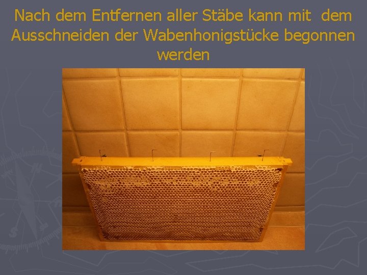 Nach dem Entfernen aller Stäbe kann mit dem Ausschneiden der Wabenhonigstücke begonnen werden 