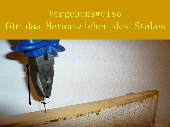 Vorgehensweise für das Herausziehen des Stabes (Dr. Heine, Berlin) 