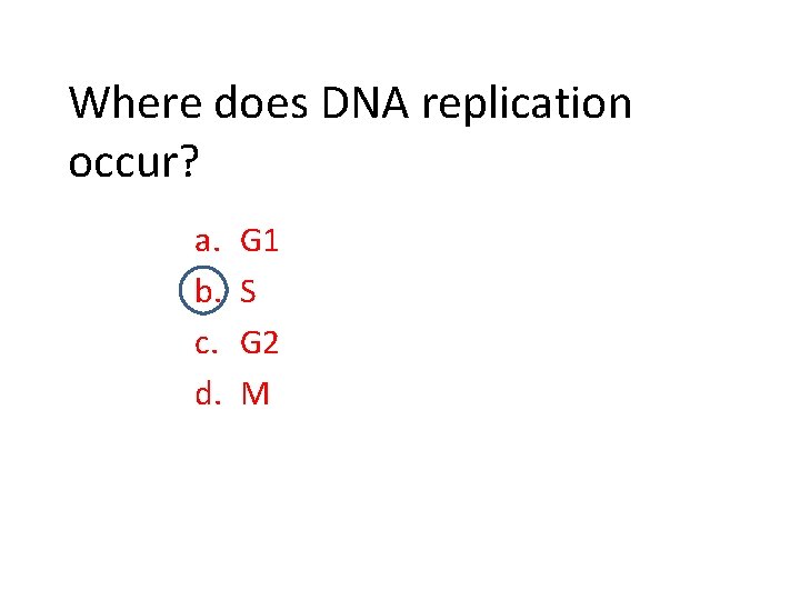 Where does DNA replication occur? a. b. c. d. G 1 S G 2