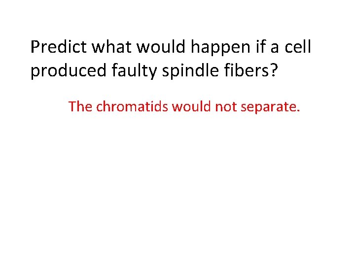 Predict what would happen if a cell produced faulty spindle fibers? The chromatids would