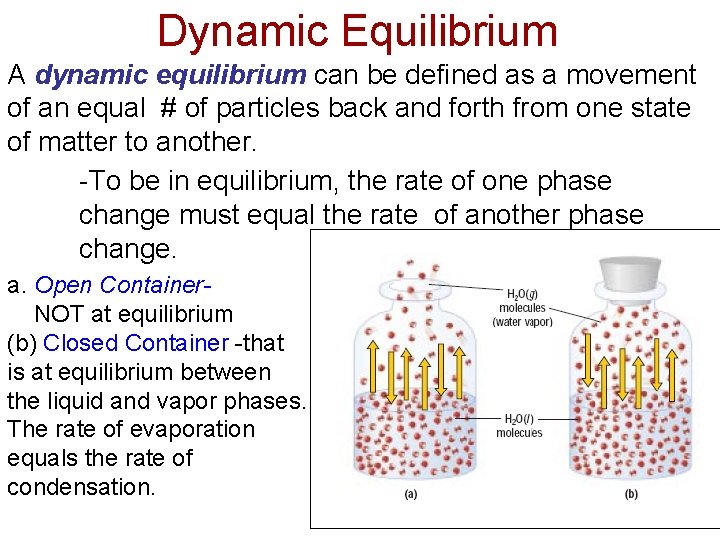Dynamic Equilibrium A dynamic equilibrium can be defined as a movement of an equal
