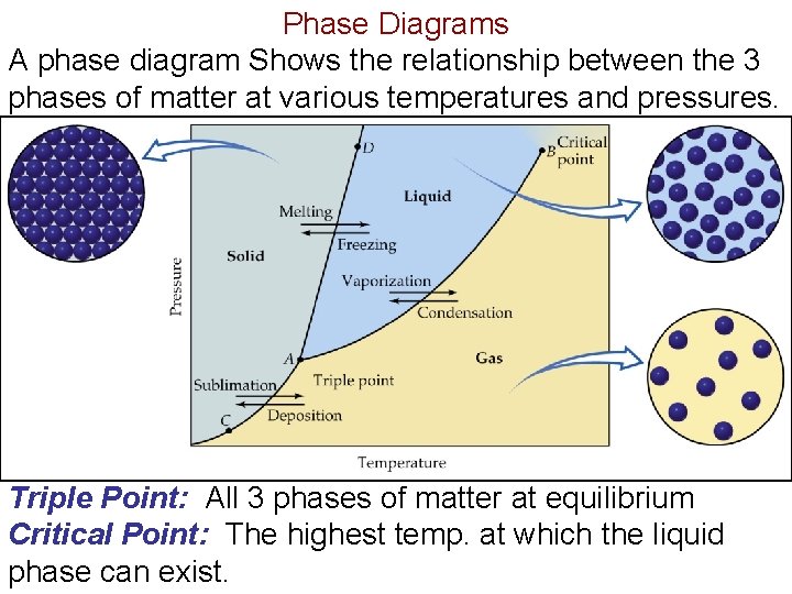 Phase Diagrams A phase diagram Shows the relationship between the 3 phases of matter