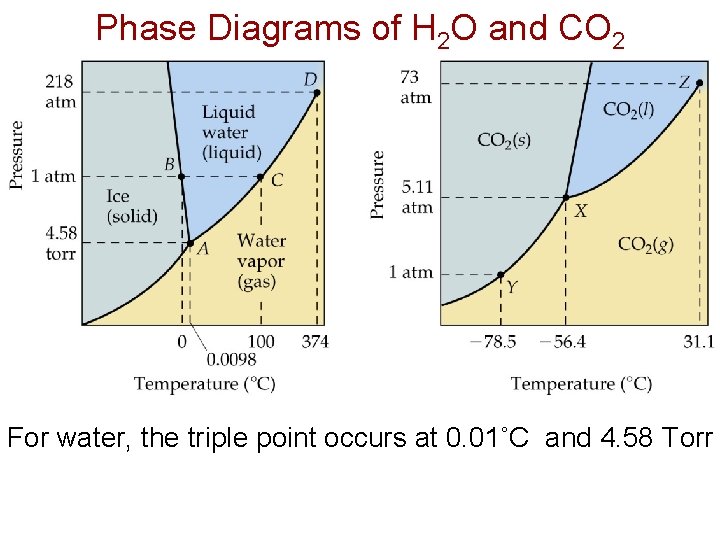 Phase Diagrams of H 2 O and CO 2 For water, the triple point
