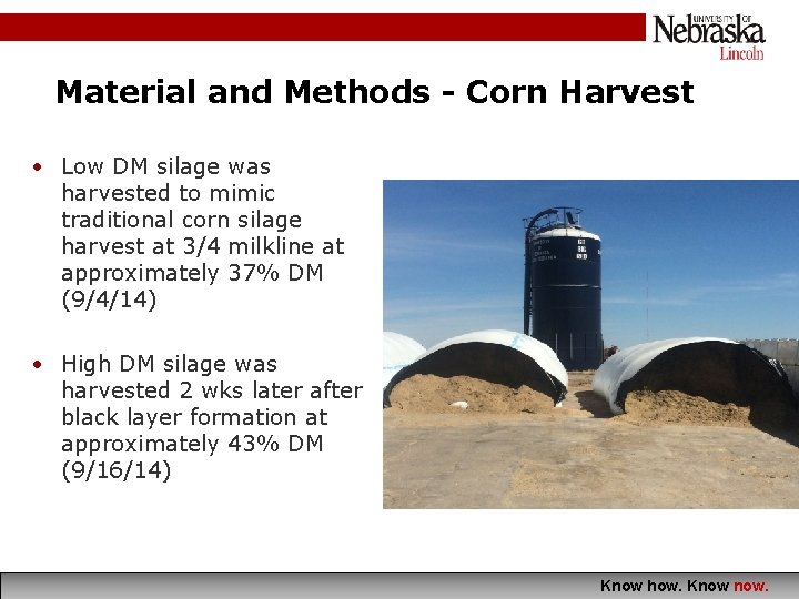 Material and Methods - Corn Harvest • Low DM silage was harvested to mimic