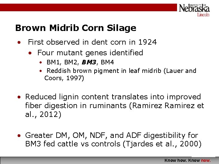 Brown Midrib Corn Silage • First observed in dent corn in 1924 • Four