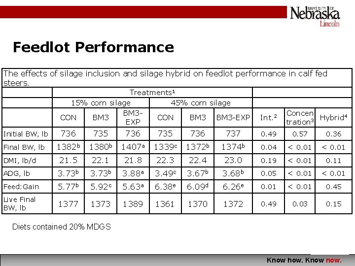 Feedlot Performance The effects of silage inclusion and silage hybrid on feedlot performance in