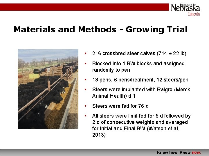 Materials and Methods - Growing Trial • 216 crossbred steer calves (714 ± 22