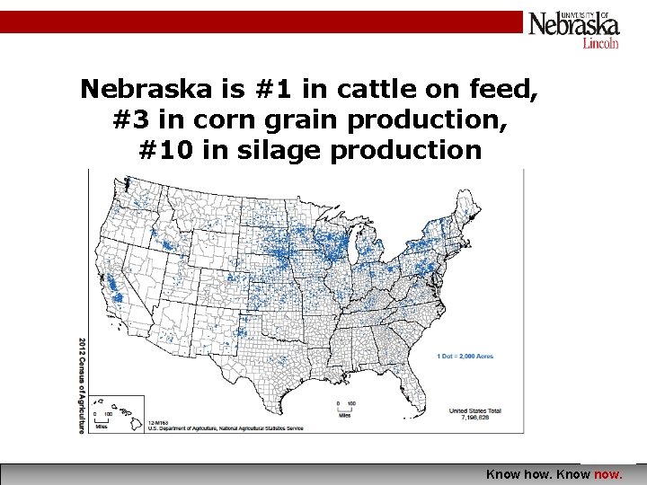 Nebraska is #1 in cattle on feed, #3 in corn grain production, #10 in