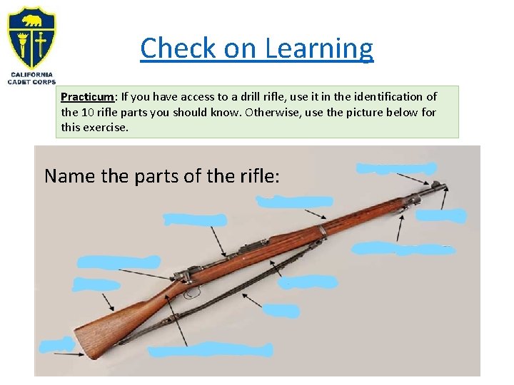 Check on Learning Practicum: If you have access to a drill rifle, use it