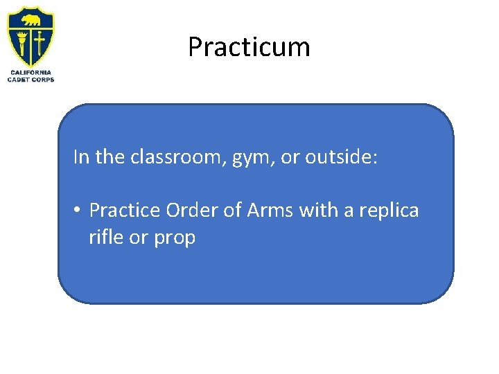 Practicum In the classroom, gym, or outside: • Practice Order of Arms with a