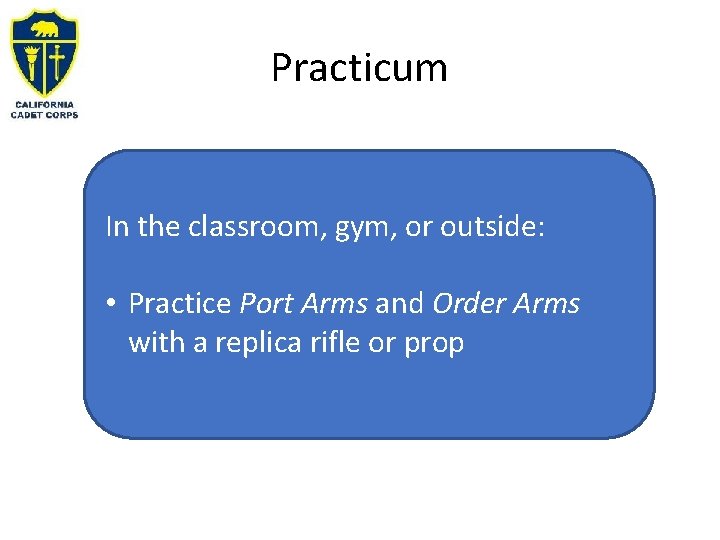 Practicum In the classroom, gym, or outside: • Practice Port Arms and Order Arms