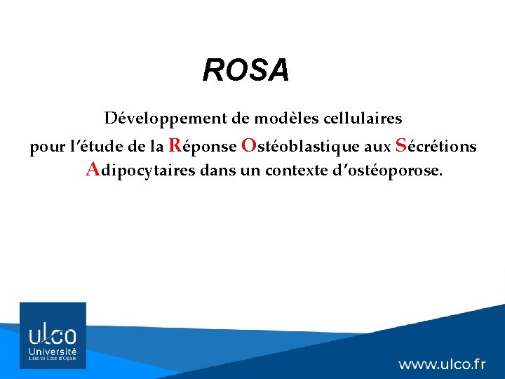  ROSA Développement de modèles cellulaires pour l’étude de la Réponse Ostéoblastique aux Sécrétions