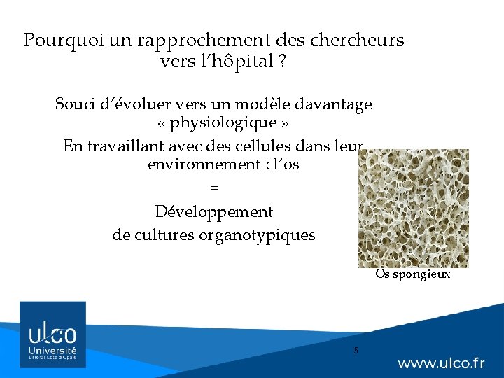 Pourquoi un rapprochement des chercheurs vers l’hôpital ? Souci d’évoluer vers un modèle davantage