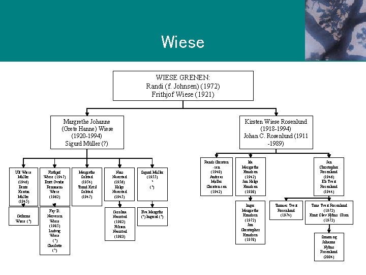 G r e n Wiese WIESE GRENEN: Randi (f. Johnsen) (1972) Frithjof Wiese (1921)