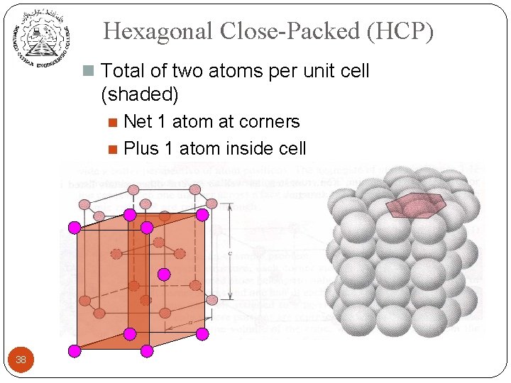 Hexagonal Close-Packed (HCP) n Total of two atoms per unit cell (shaded) Net 1