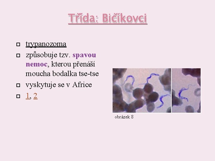 Třída: Bičíkovci trypanozoma způsobuje tzv. spavou nemoc, kterou přenáší moucha bodalka tse-tse vyskytuje se