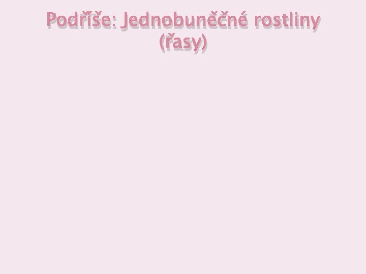 Podříše: Jednobuněčné rostliny (řasy) 