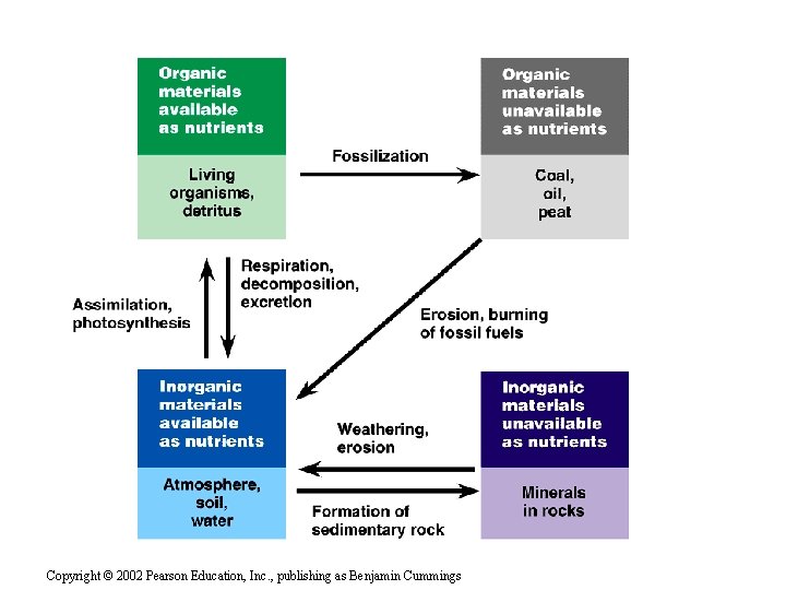 Copyright © 2002 Pearson Education, Inc. , publishing as Benjamin Cummings 