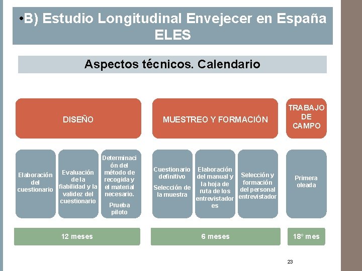  • B) Estudio Longitudinal Envejecer en España ELES Aspectos técnicos. Calendario DISEÑO Determinaci