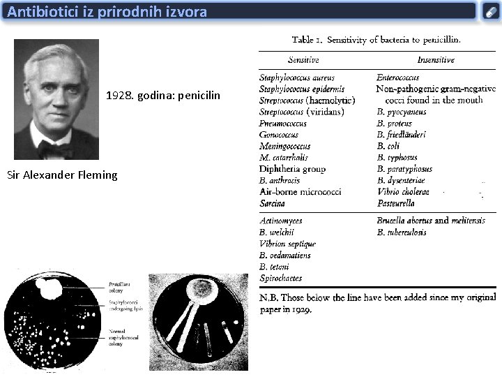 Antibiotici iz prirodnih izvora 1928. godina: penicilin Sir Alexander Fleming 