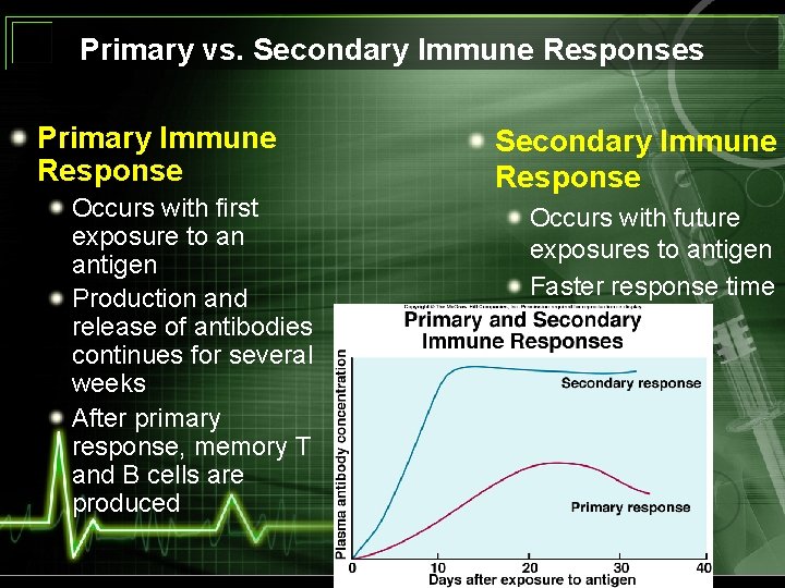 Primary vs. Secondary Immune Responses Primary Immune Response Occurs with first exposure to an