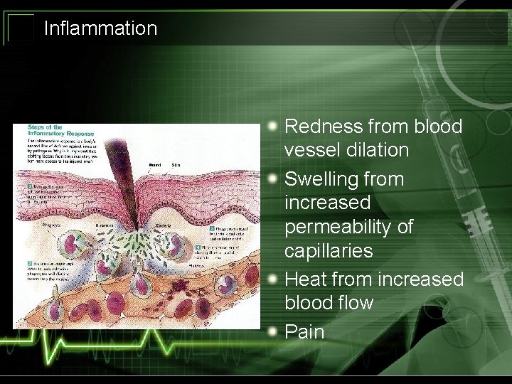 Inflammation Redness from blood vessel dilation Swelling from increased permeability of capillaries Heat from