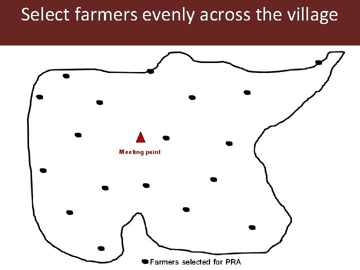 Select farmers evenly across the village Meeting point Farmers selected for PRA 