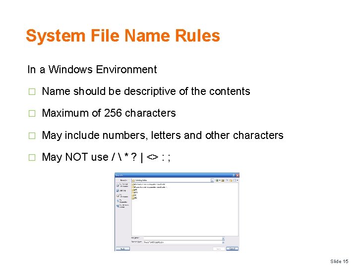 System File Name Rules In a Windows Environment � Name should be descriptive of
