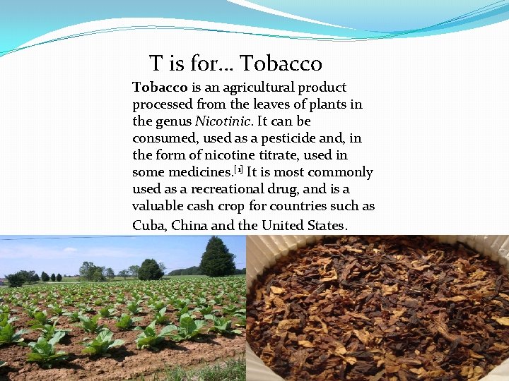 T is for… Tobacco is an agricultural product processed from the leaves of plants