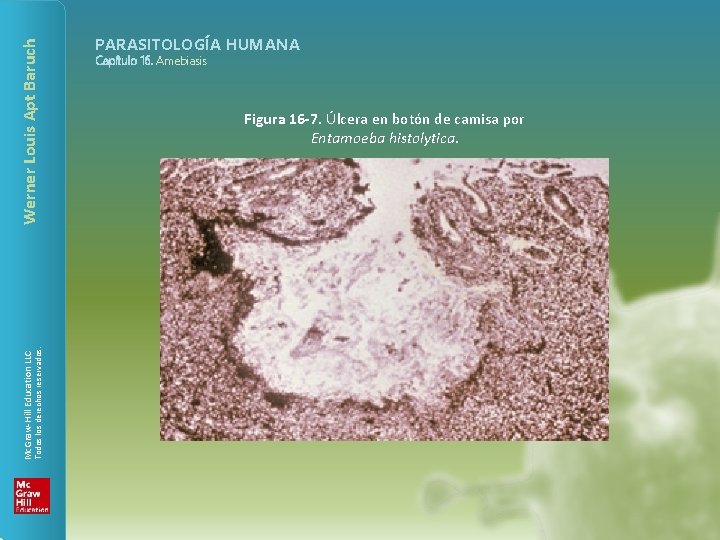 Werner Louis Apt Baruch Todos los derechos reservados. Mc. Graw-Hill Education LLC PARASITOLOGÍA HUMANA