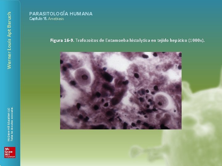 Werner Louis Apt Baruch Todos los derechos reservados. Mc. Graw-Hill Education LLC PARASITOLOGÍA HUMANA