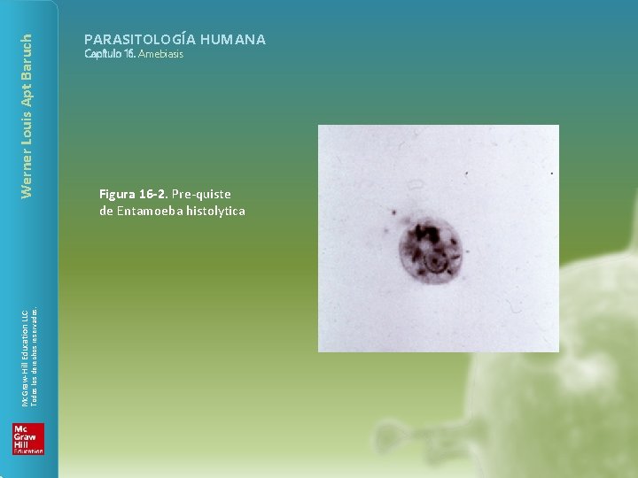 Werner Louis Apt Baruch Todos los derechos reservados. Mc. Graw-Hill Education LLC PARASITOLOGÍA HUMANA