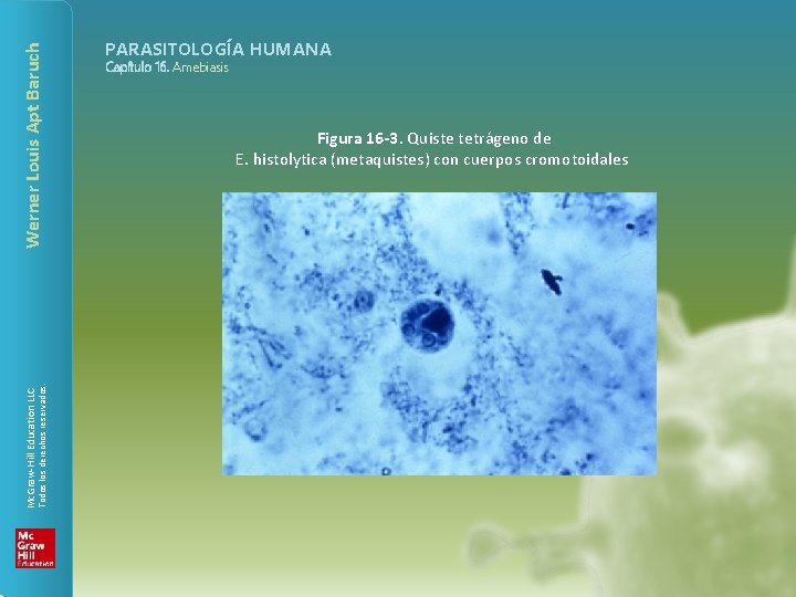 Werner Louis Apt Baruch Todos los derechos reservados. Mc. Graw-Hill Education LLC PARASITOLOGÍA HUMANA