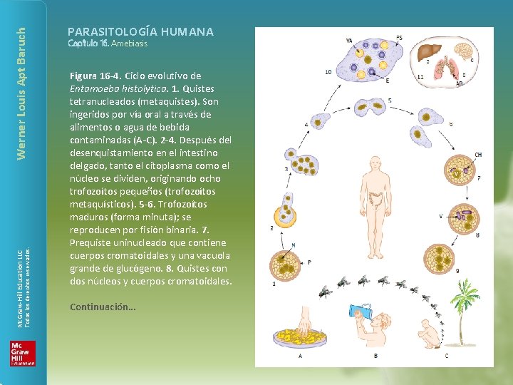 Werner Louis Apt Baruch Todos los derechos reservados. Mc. Graw-Hill Education LLC PARASITOLOGÍA HUMANA