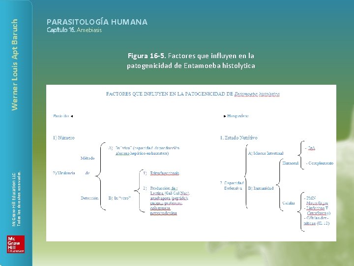 Werner Louis Apt Baruch Todos los derechos reservados. Mc. Graw-Hill Education LLC PARASITOLOGÍA HUMANA