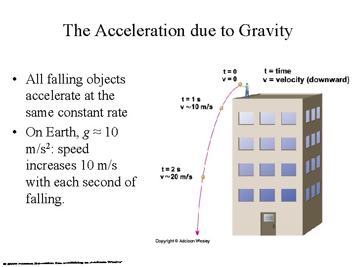 The Acceleration due to Gravity • All falling objects accelerate at the same constant