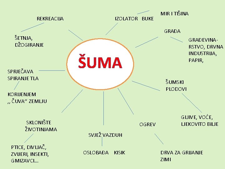 REKREACIJA IZOLATOR BUKE MIR I TIŠINA GRAĐA ŠETNJA, DŽOGIRANJE SPRJEČAVA SPIRANJE TLA GRAĐEVINARSTVO, DRVNA