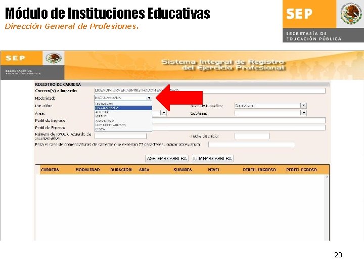 Módulo de Instituciones Educativas Dirección General de Profesiones. 20 