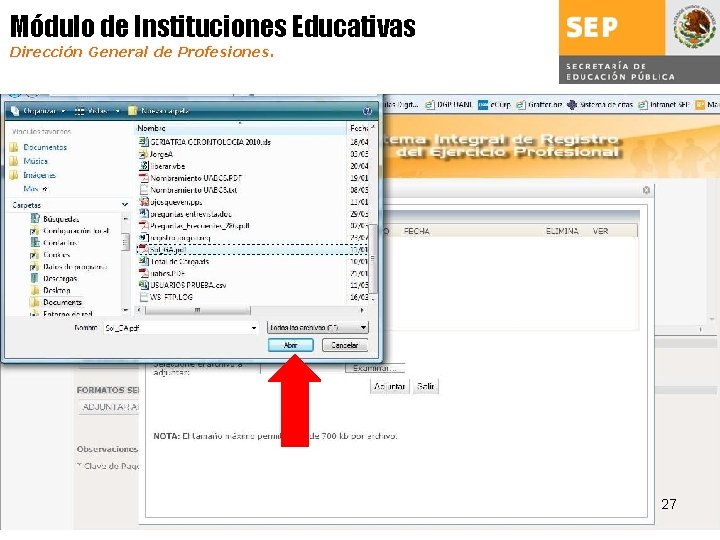 Módulo de Instituciones Educativas Dirección General de Profesiones. 27 