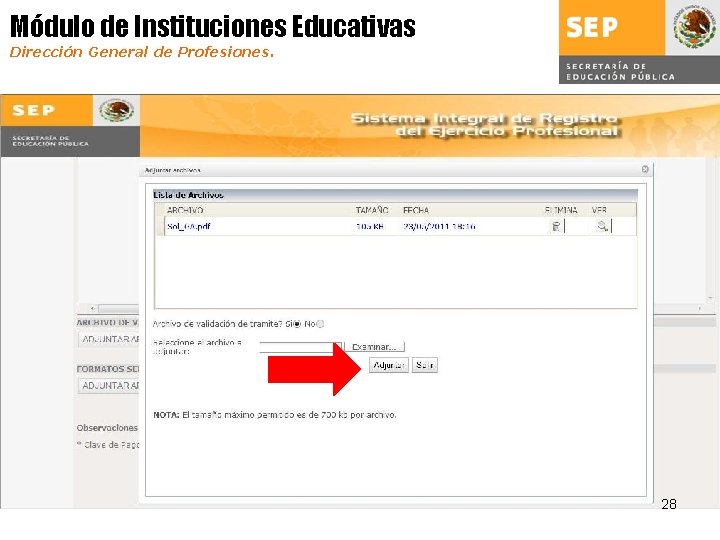 Módulo de Instituciones Educativas Dirección General de Profesiones. 28 