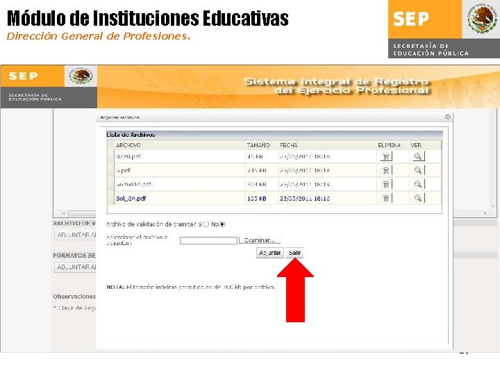 Módulo de Instituciones Educativas Dirección General de Profesiones. 29 