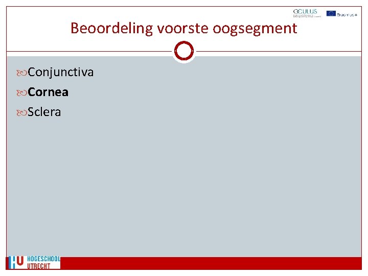 Beoordeling voorste oogsegment Conjunctiva Cornea Sclera 