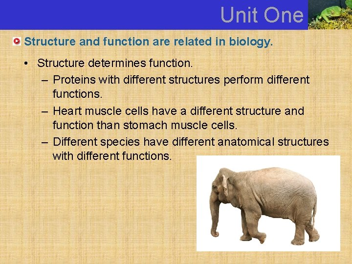 Unit One Structure and function are related in biology. • Structure determines function. –