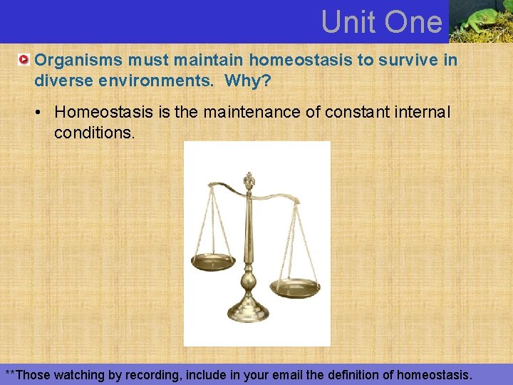 Unit One Organisms must maintain homeostasis to survive in diverse environments. Why? • Homeostasis