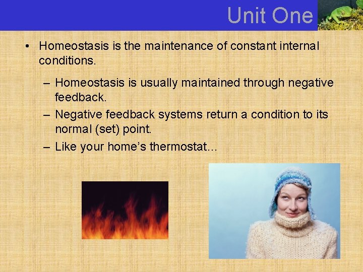 Unit One • Homeostasis is the maintenance of constant internal conditions. – Homeostasis is
