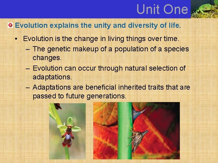 Unit One Evolution explains the unity and diversity of life. • Evolution is the