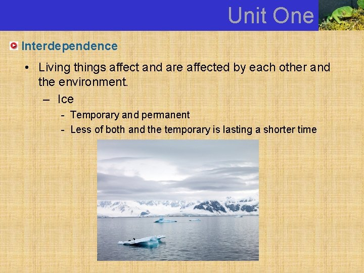 Unit One Interdependence • Living things affect and are affected by each other and