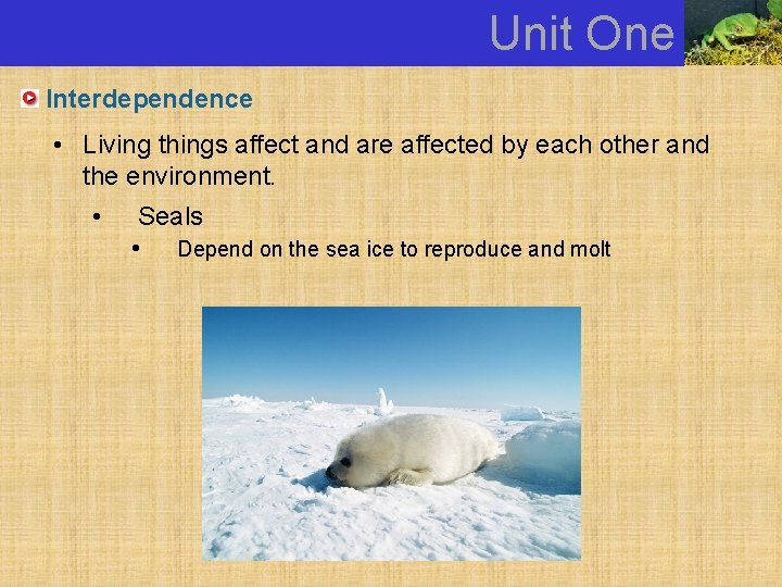 Unit One Interdependence • Living things affect and are affected by each other and