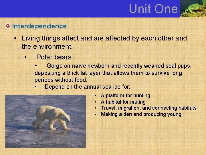 Unit One Interdependence • Living things affect and are affected by each other and