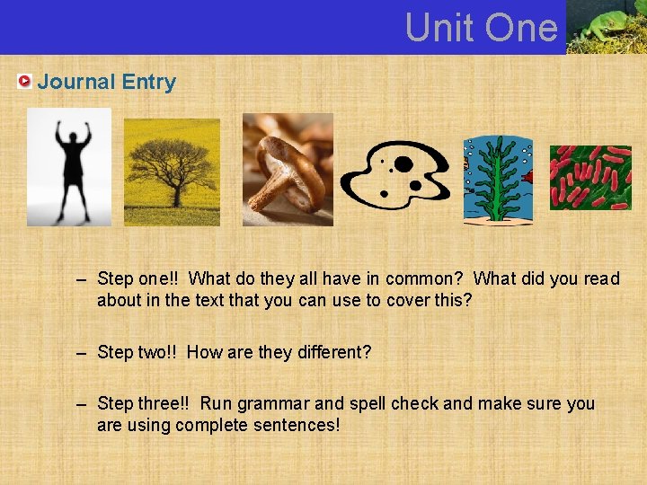 Unit One Journal Entry – Step one!! What do they all have in common?